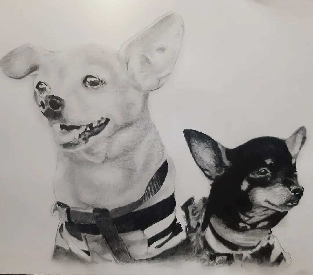 Screenshot 20241107 111250 Instagram - Retrato en blanco y negro - A3