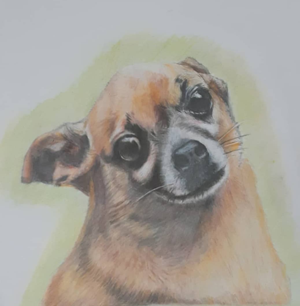 Screenshot 20241107 112305 Instagram - Retrato a color - A4